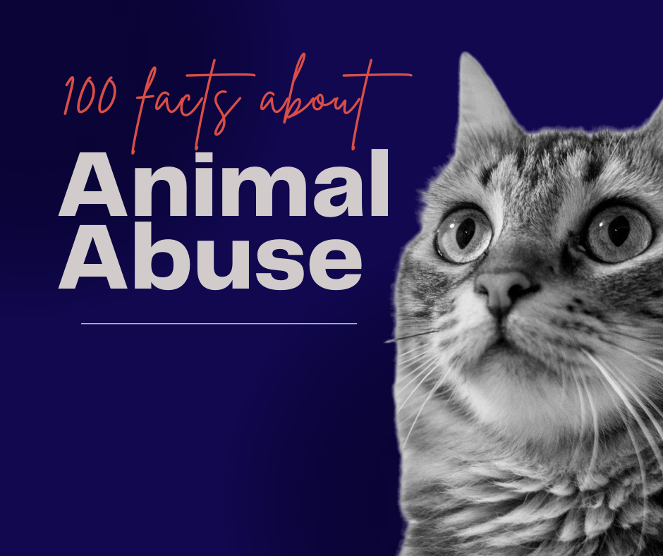 100 facts about animal abuse